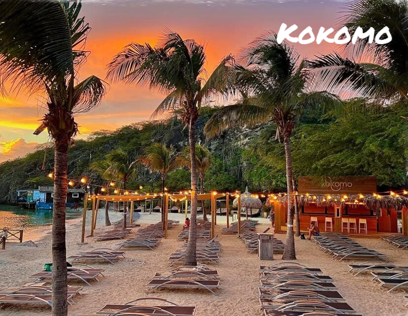 Eco Resort De Octopus Tropical Oasis Boka St. Michiel Kokomo
