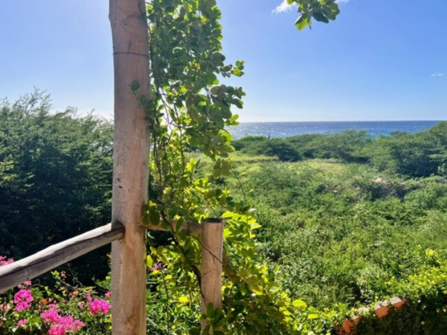 De Octopus Tropical Oasis Eco apartments Curaçao Boka St Michiel Near the Sea Vieuw from Sea View apartment Prikichi