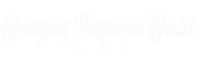 Octopus CuraDe cao