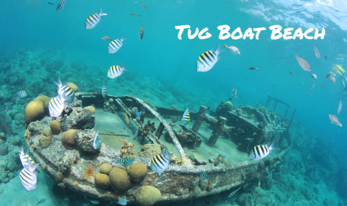 Eco Resort De Octopus Tropical Oasis Boka St. Michiel Tug Boat