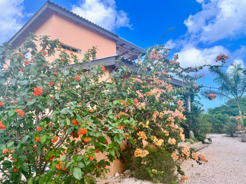 De Octopus Tropical Oasis Eco apartments Curaçao Boka St Michiel Near the Sea garden Appartment Chuchubi