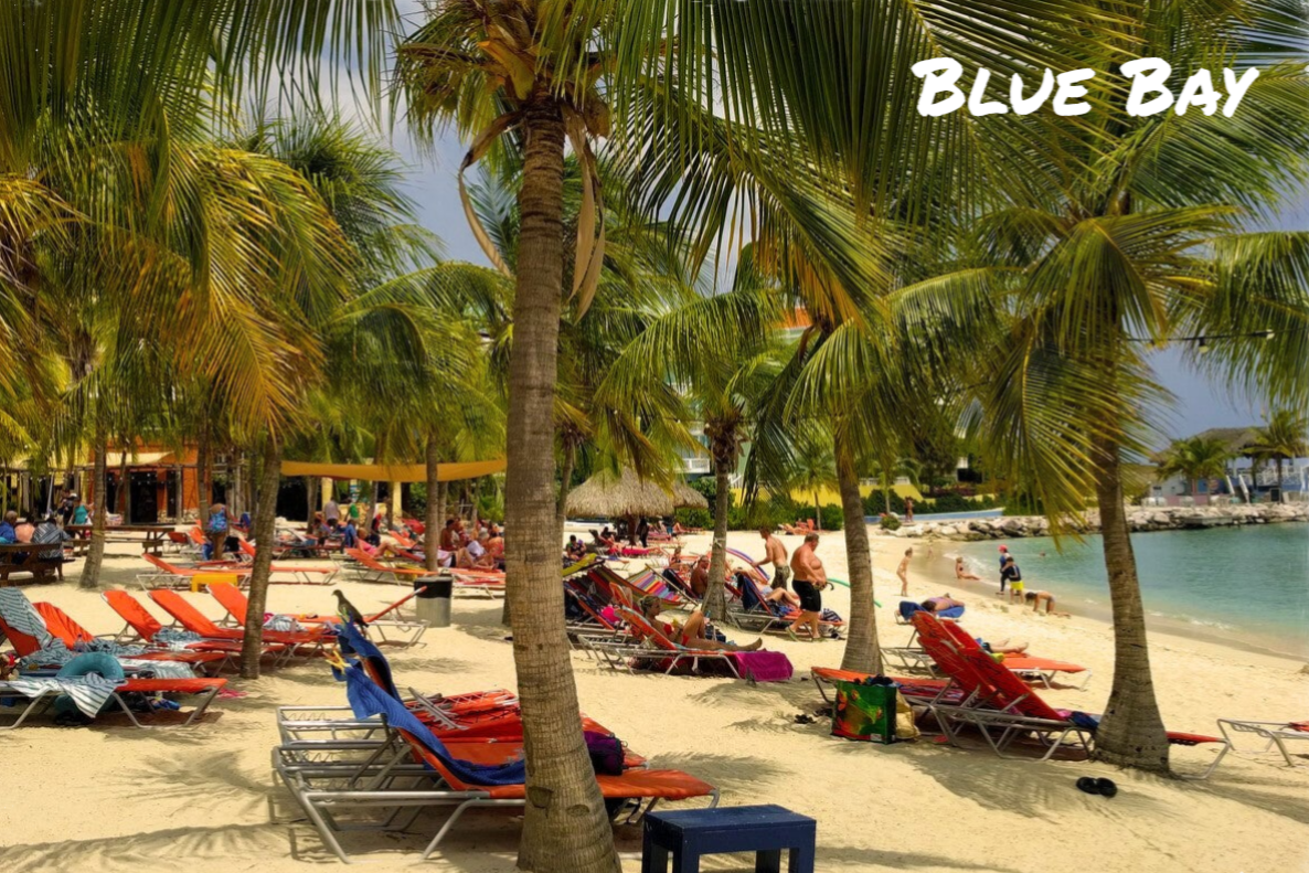 Eco Resort De Octopus Tropical Oasis Boka St. Michiel Blue Bay