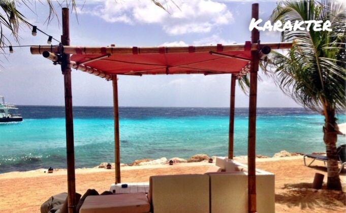 Eco Resort De Octopus Tropical Oasis Boka St. Michiel Karakter