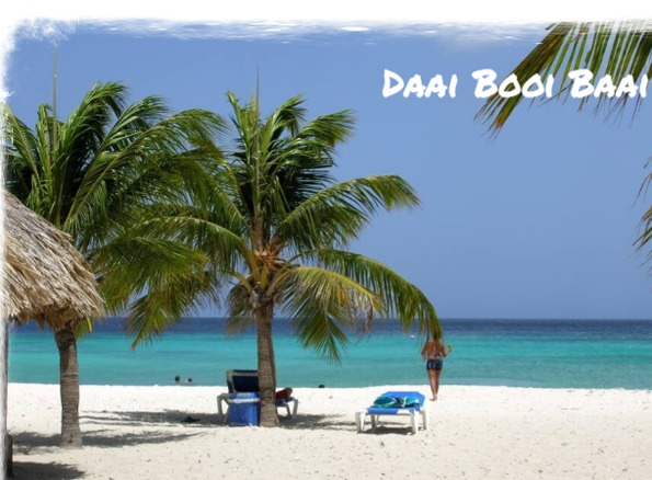 Eco Resort De Octopus Tropical Oasis Boka St. Michiel Daai Booi Baai
