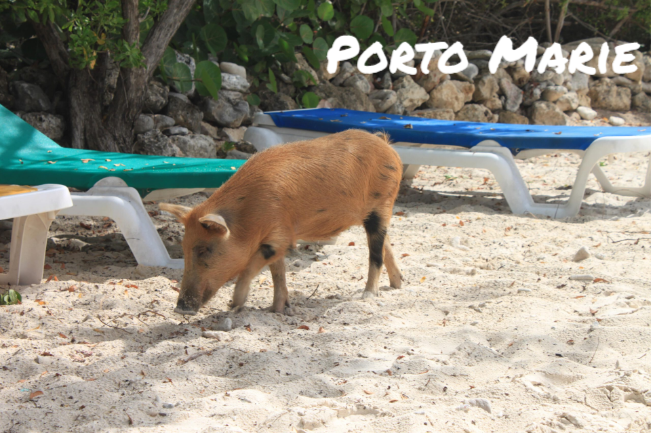 Eco Resort De Octopus Tropical Oasis Boka St. Michiel Playa Porto Marie