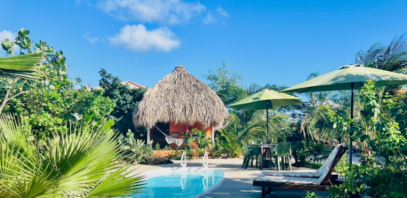 De Octopus Tropical Oasis Eco apartments Curaçao Boka St Michiel Near the Sea Pool Area