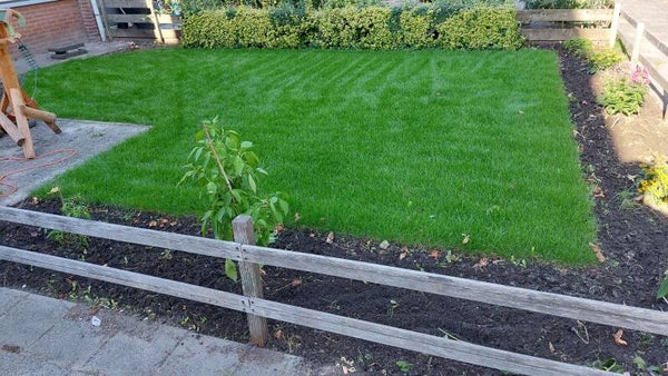 Speel graszoden