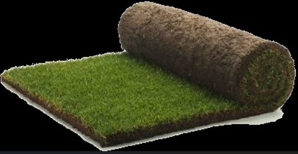 Premium graszoden bundel  55 m²
