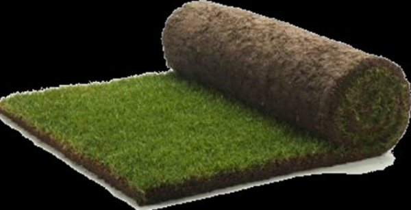 Basic  graszoden bundel  110 m²