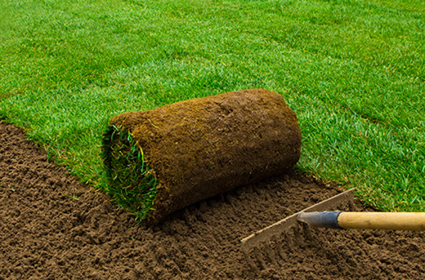 Basic  graszoden bundel  155 m²