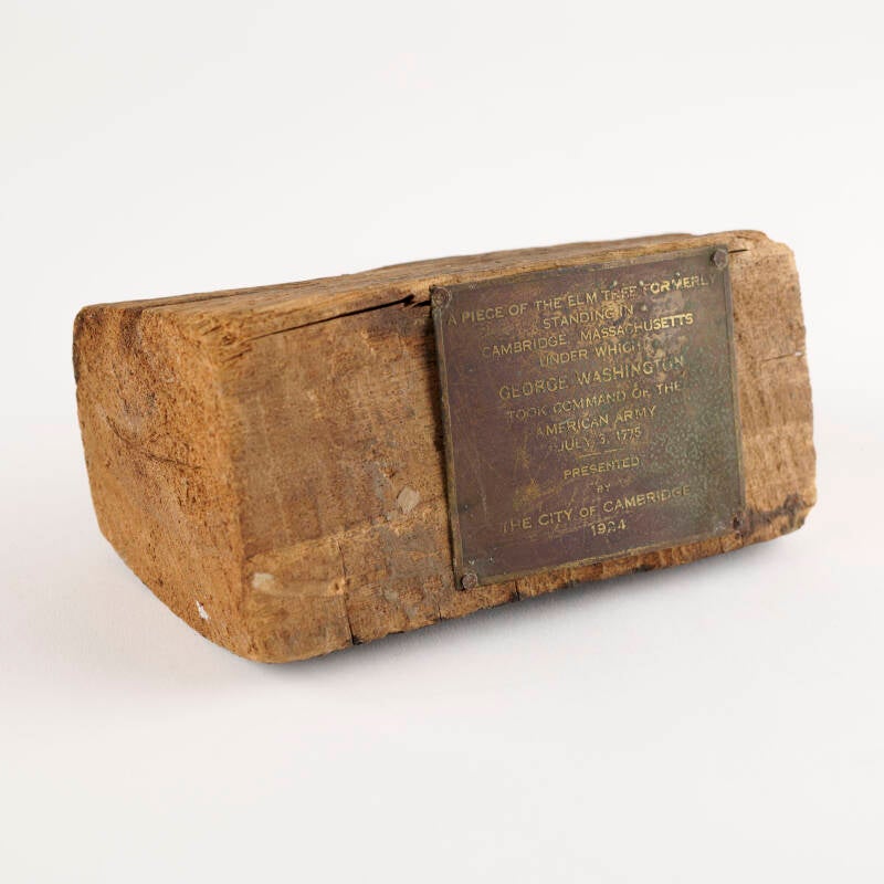George Washington: Wooden Fragment from the 'Washington Elm' in Cambridge, Massachusetts