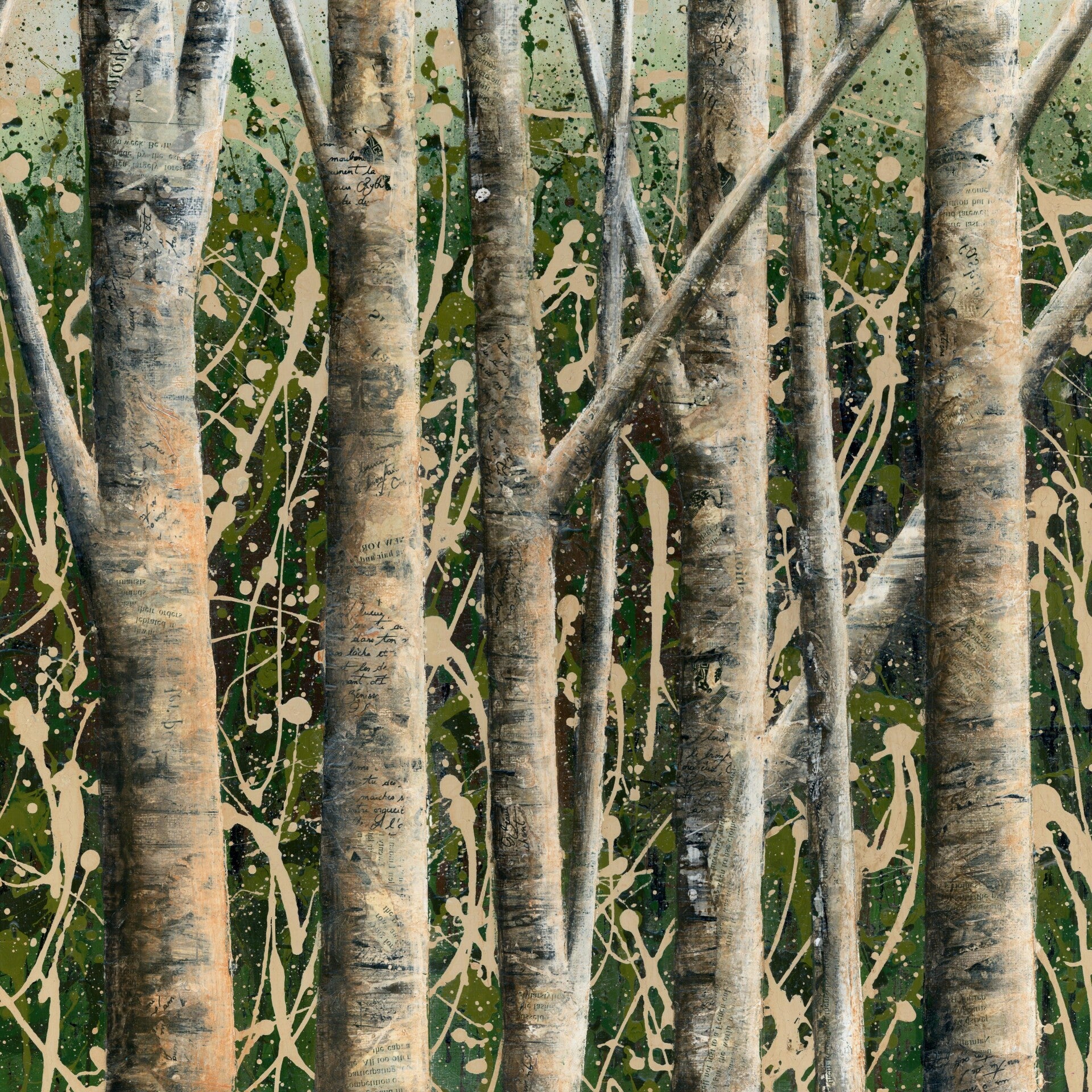 An image of trees in a forest
