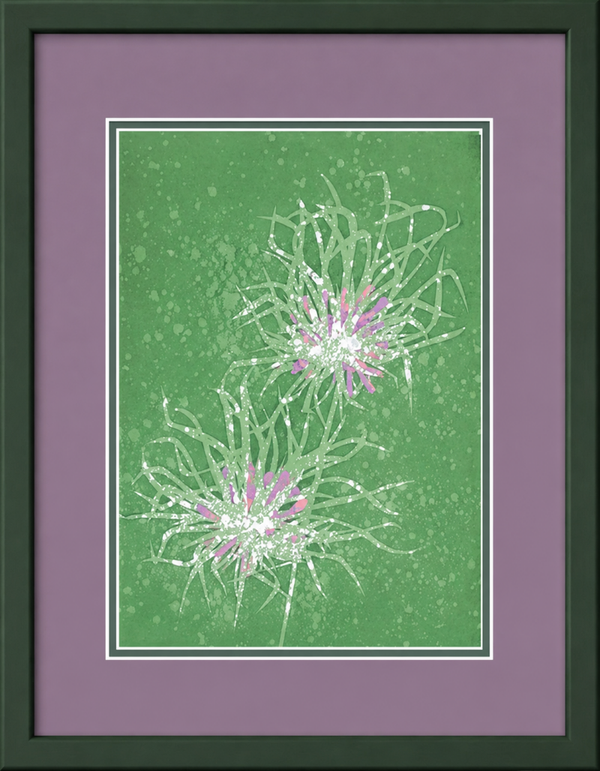 Allium Hair