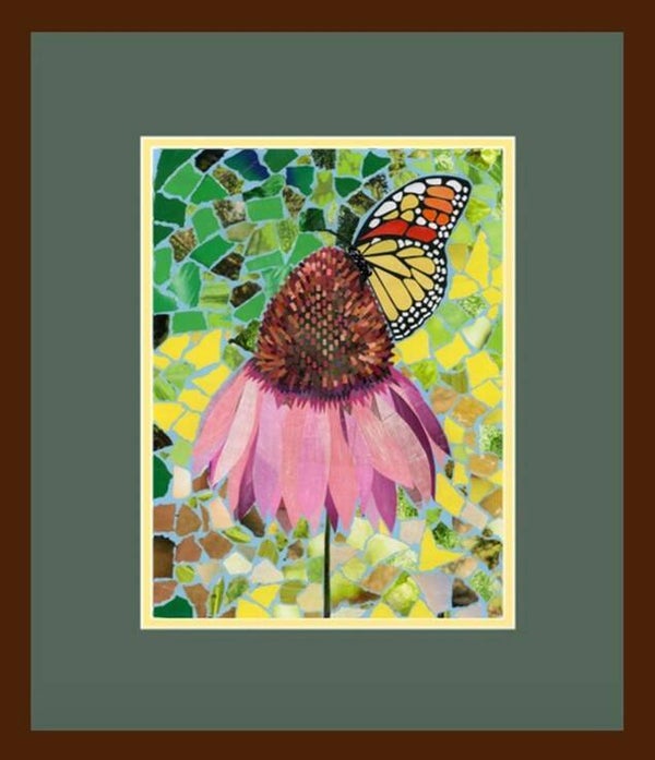 Alluring Echinacea