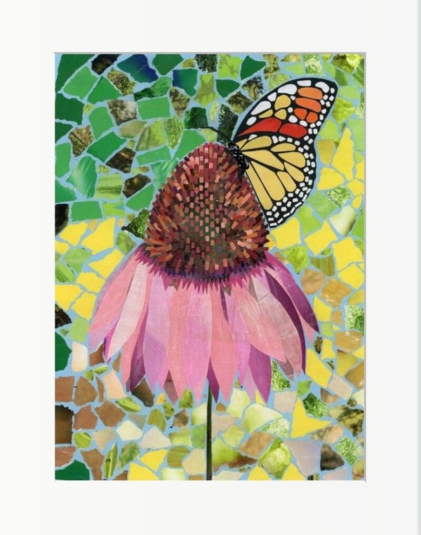 Mounted Greeting Card: Alluring Echinacea