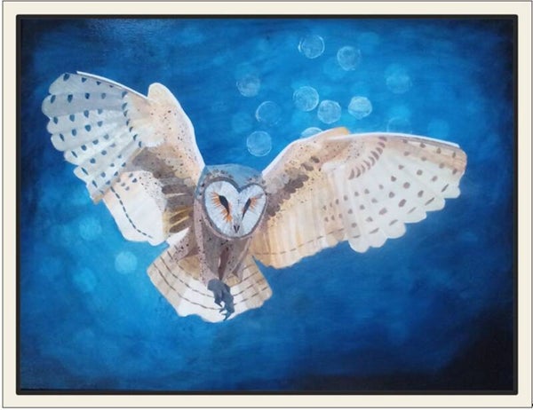 Barn Owl