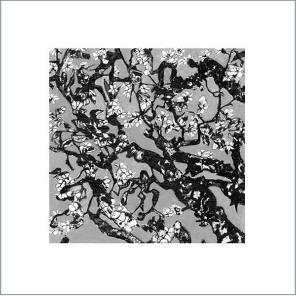 A Signed & Mounted Print of Blossom