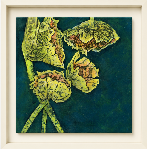 Blousy Brassicas