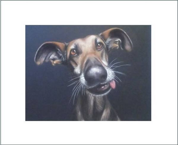 A Signed & Mounted Print of Curious Dog