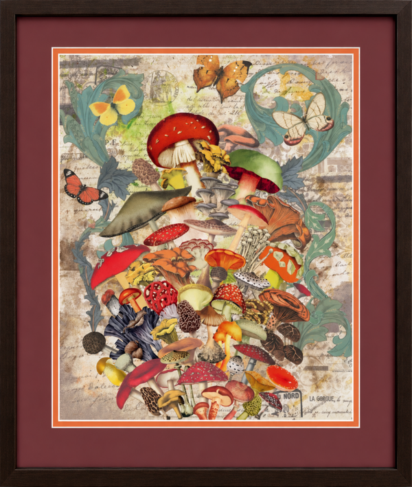 Fungal Folio