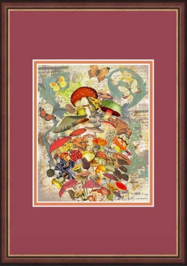Fungal Folio