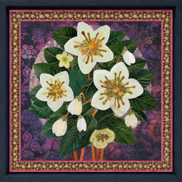 Hellebore Halo