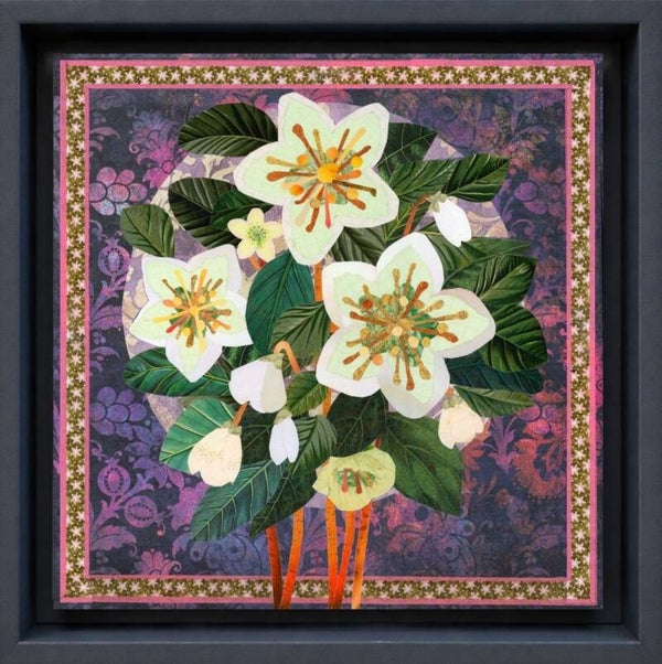 Hellebore Halo
