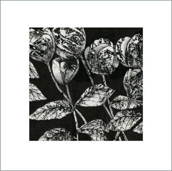 A Signed & Mounted Print of Les Fleurs
