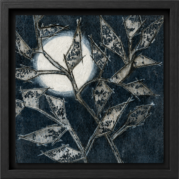 Moonlit Canopy