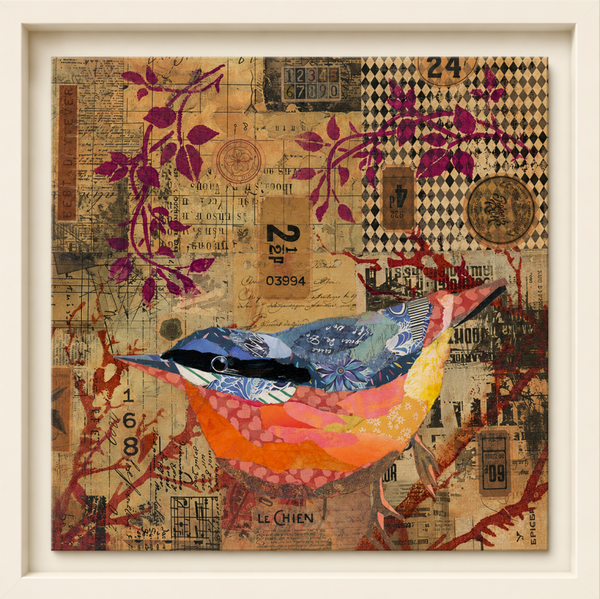 Nuthatch