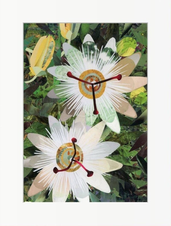 Mounted Greeting Card: Passiflora Incanata