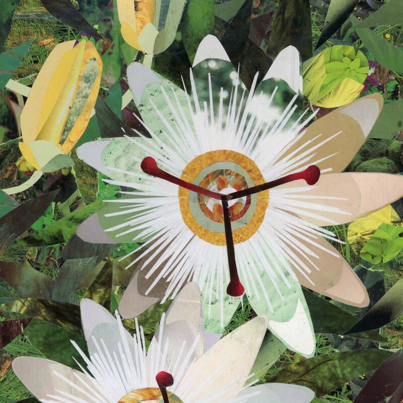 An artwork of passionflowers