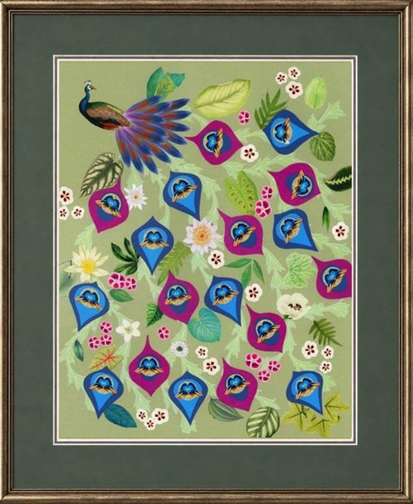 Peacock Glory