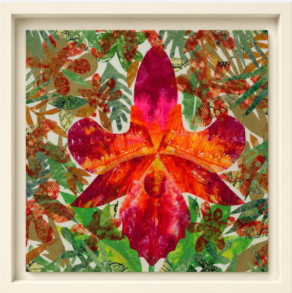 Pink Orchid