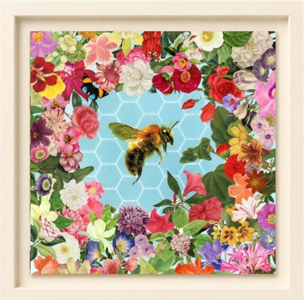 Pollinator's Halo