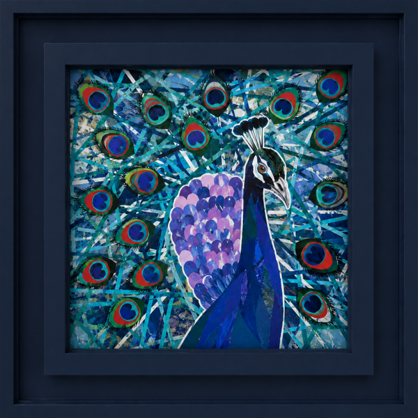 Proud Peacock