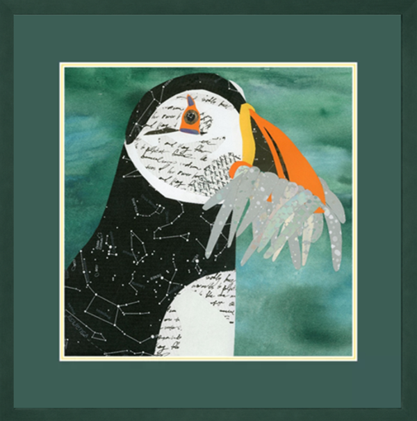 Puffin Piscator