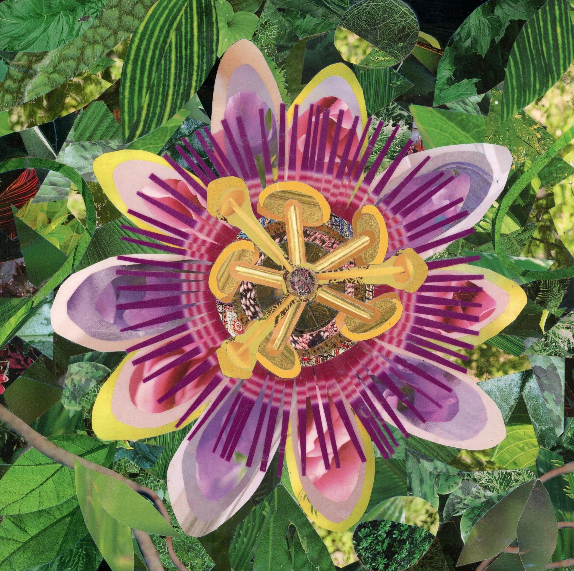 An artwork of passionflowers