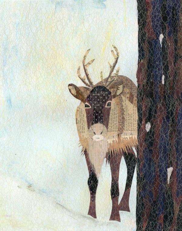Reindeer