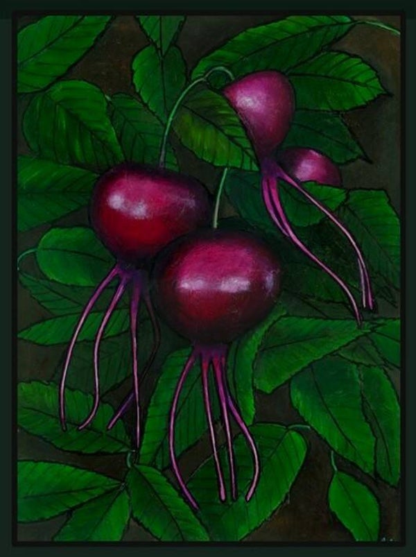Rosehips