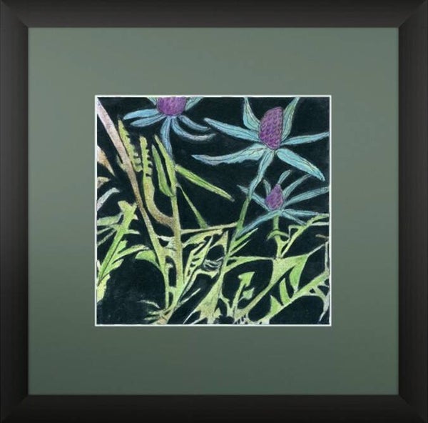 Sea Holly Thicket
