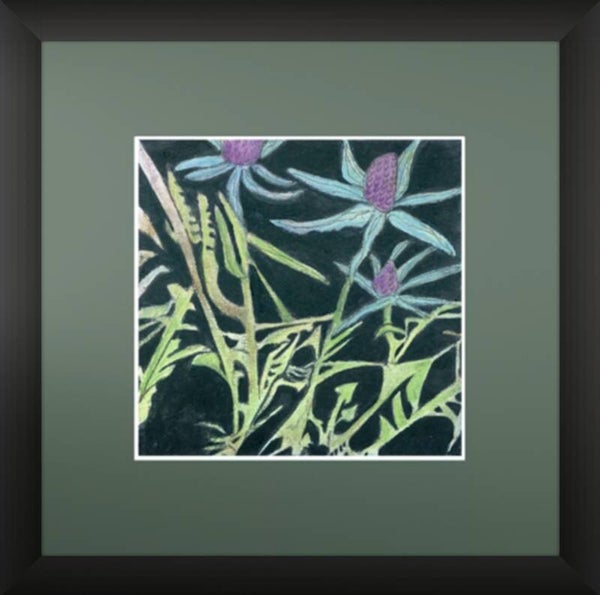 Sea Holly Thicket