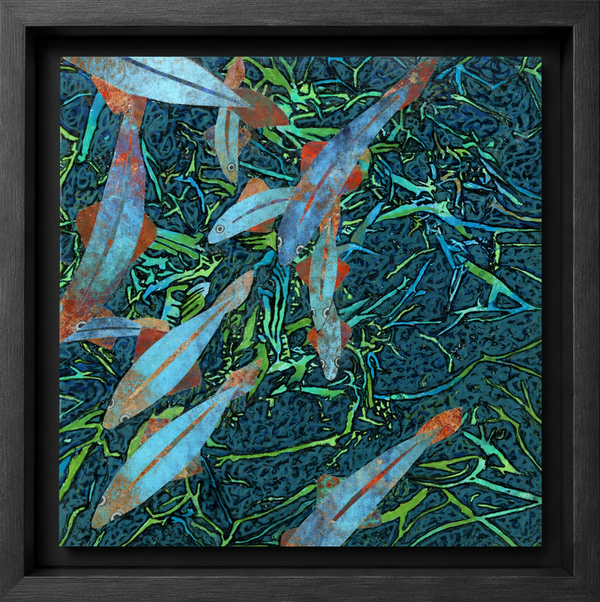 Shoal