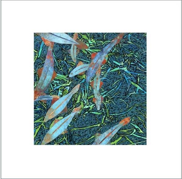 A Signed & Mounted Print of Shoal