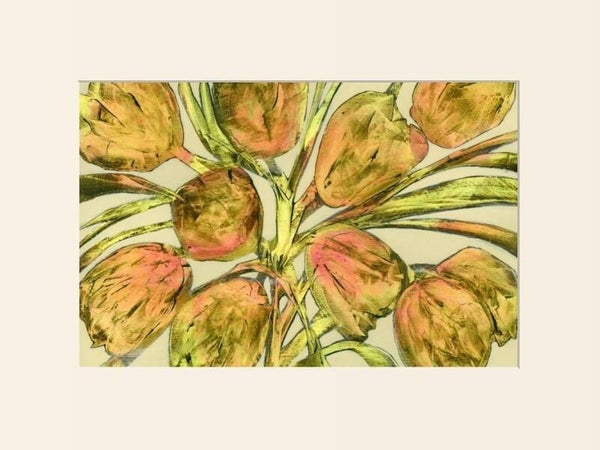 Signed & Mounted Giclée Print of Tantalising Tulips