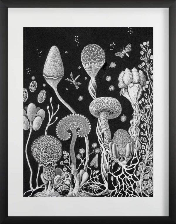 The Unfamiliar Garden I