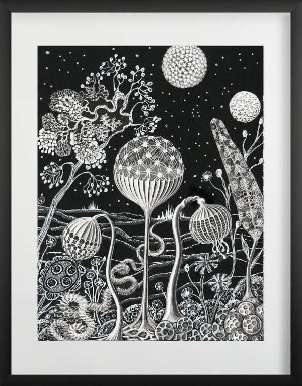 The Unfamiliar Garden II