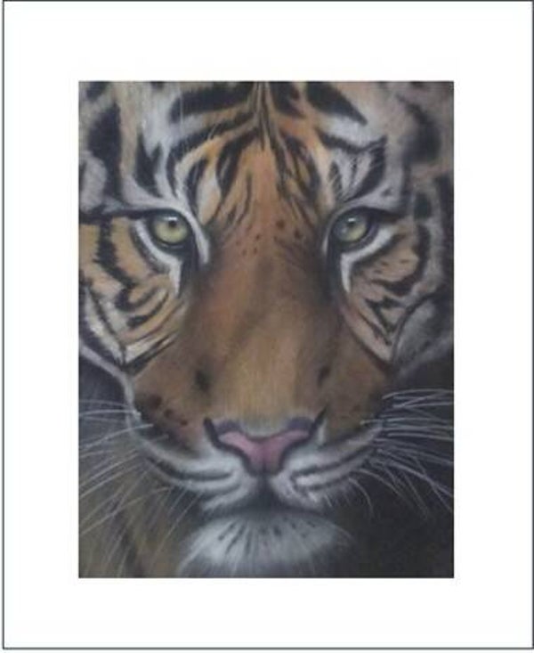 A Signed & Mounted Print of Tiger Tiger