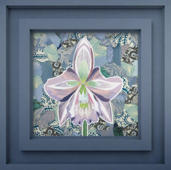 White Orchid