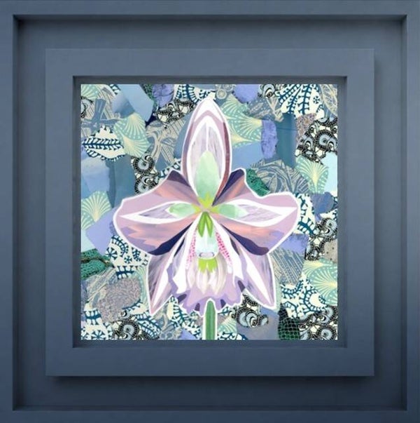 White Orchid